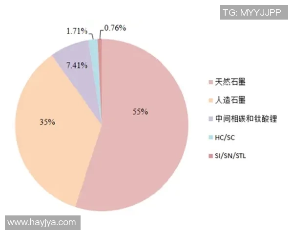 掸联与妙瓦底的对决分析及未来发展趋势探讨